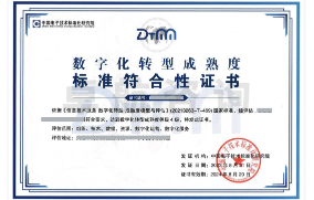 數(shù)字化轉(zhuǎn)型成熟度評估DTMM 數(shù)字化轉(zhuǎn)型成熟度評估DTMM